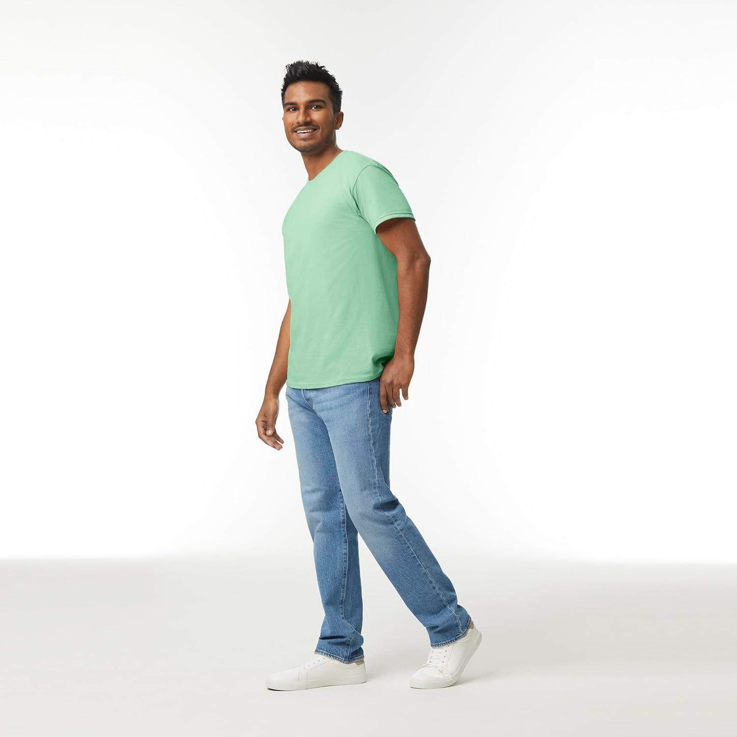 imageGildan Adult Heavy Cotton TShirt Style G5000 MultipackMint Green 2pack