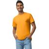 Gildan Adult Heavy Cotton T-Shirt, Style G5000, Multipack(Gold (2-pack))