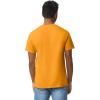 Gildan Adult Heavy Cotton T-Shirt, Style G5000, Multipack(Gold (2-pack))