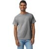 Gildan Adult Heavy Cotton T-Shirt, Style G5000, Multipack(Graphite Heather (2-pack))