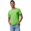 Gildan Adult Heavy Cotton T-Shirt, Style G5000, Multipack(Lime (2-pack))