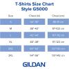 Gildan Adult Heavy Cotton T-Shirt, Style G5000, Multipack(Maroon (2-pack))
