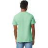 Gildan Adult Heavy Cotton T-Shirt, Style G5000, Multipack(Mint Green (2-pack))