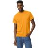 Gildan Adult DryBlend T-Shirt, Style G8000, Multipack,(Gold (2-pack))