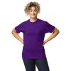 Gildan Adult DryBlend T-Shirt, Style G8000, Multipack,(Purple (2-pack))
