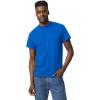 Gildan Adult DryBlend T-Shirt, Style G8000, Multipack,(Royal (2-pack))