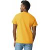 Gildan Adult Ultra Cotton T-Shirt, Style G2000, Multipack(Gold (2-pack))