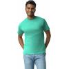Gildan Adult Ultra Cotton T-Shirt, Style G2000, Multipack(Jade Dome (2-pack))