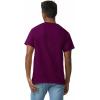 Gildan Adult Ultra Cotton T-Shirt, Style G2000, Multipack(Maroon (2-pack))