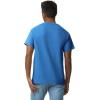 Gildan Adult Ultra Cotton T-Shirt, Style G2000, Multipack(Royal (2-pack))