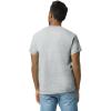 Gildan Adult Ultra Cotton T-Shirt, Style G2000, Multipack(Sport Grey (2-pack))