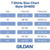 Gildan Hammer Adult Long Sleeve T-Shirt, 2-Pack, Style GH400(White (2-pack))