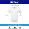 Gildan Men’s V-Neck T-Shirts, Multipack, Style G1103(White (12-pack))