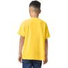 Gildan Unisex-Child Gildan Youth Heavy Cotton T-Shirt, Style G5000b, 2-Pack(Daisy)
