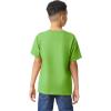 Gildan Unisex-Child Gildan Youth Heavy Cotton T-Shirt, Style G5000b, 2-Pack(Lime)