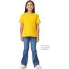 Gildan Youth DryBlend T-Shirt, Style G8000B, 2-Pack(Daisy)