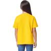 Gildan Youth DryBlend T-Shirt, Style G8000B, 2-Pack(Daisy)