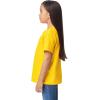 Gildan Youth DryBlend T-Shirt, Style G8000B, 2-Pack(Daisy)