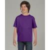 Gildan Youth DryBlend T-Shirt, Style G8000B, 2-Pack(Purple)