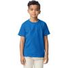 Gildan Youth DryBlend T-Shirt, Style G8000B, 2-Pack(Royal)