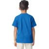 Gildan Youth DryBlend T-Shirt, Style G8000B, 2-Pack(Royal)