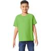 Gildan Youth Heavy Cotton T-Shirt, Style G5000B, 2-Pack(Lime)