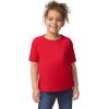 Gildan Youth Toddler T-Shirt, Style G5100P, 2-Pack(Red)