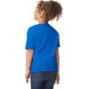 Gildan Youth Toddler T-Shirt, Style G5100P, 2-Pack(Royal)