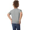 Gildan Youth Toddler T-Shirt, Style G5100P, 2-Pack(Sport Grey)