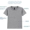 Gildan Youth Toddler T-Shirt, Style G5100P, 2-Pack(Sport Grey)