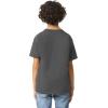 Gildan Youth Ultra Cotton T-Shirt, Style G2000B, Multipack(Charcoal (2-pack))