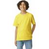 Gildan Youth Ultra Cotton T-Shirt, Style G2000B, Multipack(Daisy (2-pack))