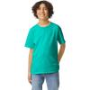 Gildan Youth Ultra Cotton T-Shirt, Style G2000B, Multipack(Jade Dome (2-pack))