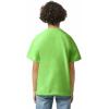 Gildan Youth Ultra Cotton T-Shirt, Style G2000B, Multipack(Lime (2-pack))