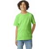 Gildan Youth Ultra Cotton T-Shirt, Style G2000B, Multipack(Lime (2-pack))