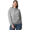 Gildan Adult Softstyle Hoodie Sweatshirt, Style GSF500(Sport Grey)