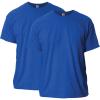 Gildan Adult Ultra Cotton T-Shirt, Style G2000, Multipack(Antique Royal (2-pack))