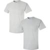 Gildan Adult Ultra Cotton T-Shirt with Pocket, Style G2300, 2-Pack(Ash/Sportgrey)