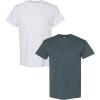 Gildan Hammer Adult T-Shirt, 2-Pack, Style GH000((1) Ash Grey + (1) Dark Heather)
