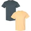 Gildan Hammer Adult T-Shirt, 2-Pack, Style GH000((1) Dark Heather + (1) Yellow Haze)