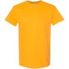 Gildan Hammer Adult T-Shirt, 2-Pack, Style GH000((1) Gold + (1) Irish Green)