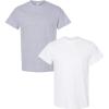 Gildan Hammer Adult T-Shirt, 2-Pack, Style GH000((1) Sport Grey + (1) White)