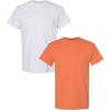 Gildan Hammer Adult T-Shirt, 2-Pack, Style GH000(Ash + Sunset)