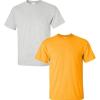 Gildan Hammer Adult T-Shirt, 2-Pack, Style GH000(Ash/Gold)
