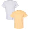 Gildan Hammer Adult T-Shirt, 2-Pack, Style GH000(Ash-haze)
