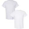 Gildan Hammer Adult T-Shirt, 2-Pack, Style GH000(Ash-white)