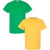 Gildan Hammer Adult T-Shirt, 2-Pack, Style GH000(Irish-daisy)