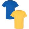 Gildan Hammer Adult T-Shirt, 2-Pack, Style GH000(Royal-daisy)