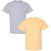 Gildan Hammer Adult T-Shirt, 2-Pack, Style GH000(Sport Grey-haze)