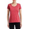 Gildan Womens Softstyle Cotton T-Shirt, Style G64000l, Multipack(Hth Spt Scrlt Rd)